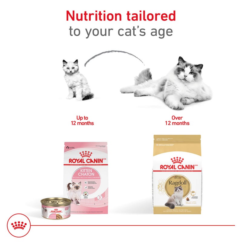 Royal Canin Feline Breed Nutrition Ragdoll Adult Dry Cat Food, 7 lb Bag - Image 4
